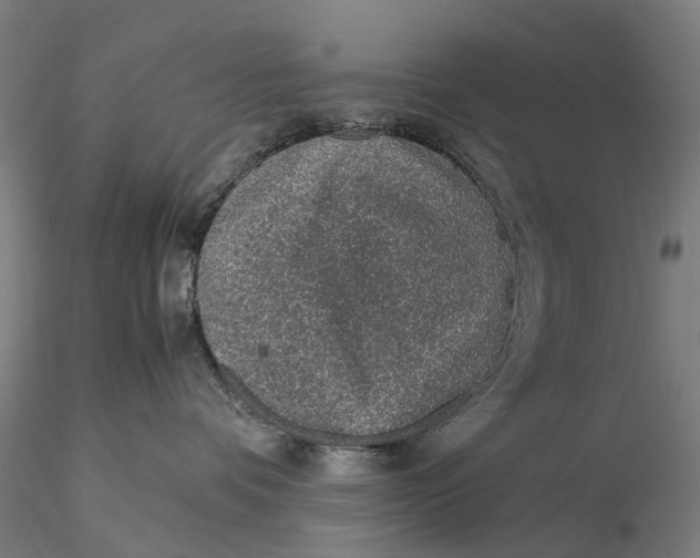 X0000115580336200912011445