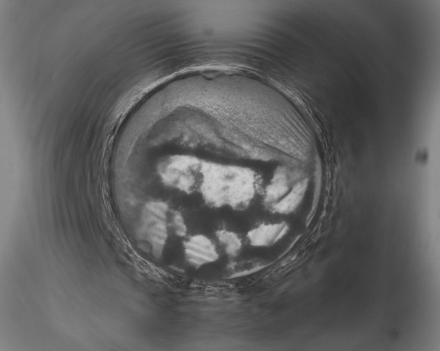 X0000115580337200912011444