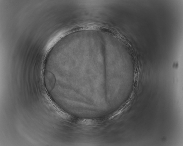 X0000115580341200912011444