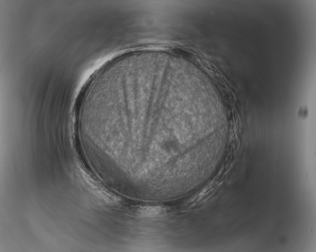 X0000115580342200912011444