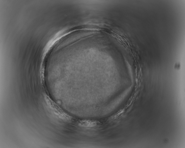 X0000115580343200912011444