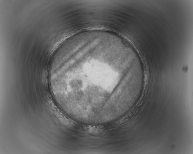 X0000115580345200912011444