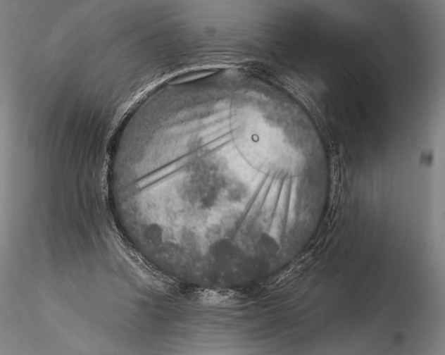 X0000115580346200912011444