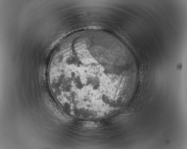 X0000115580347200912011444