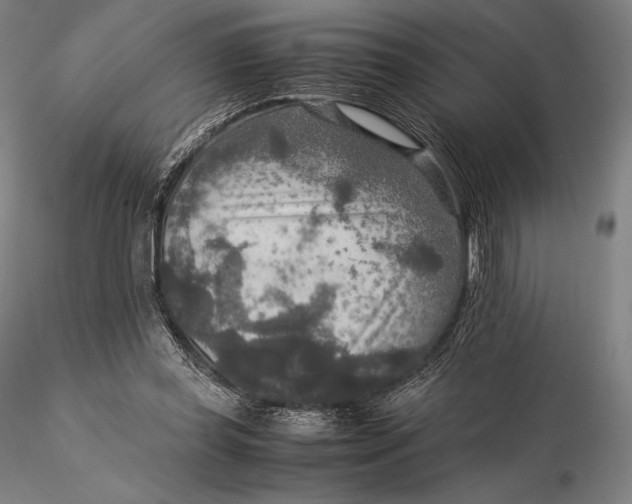 X0000115580349200912011444