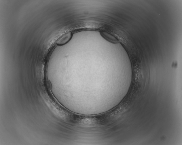 X0000115580350200912011444