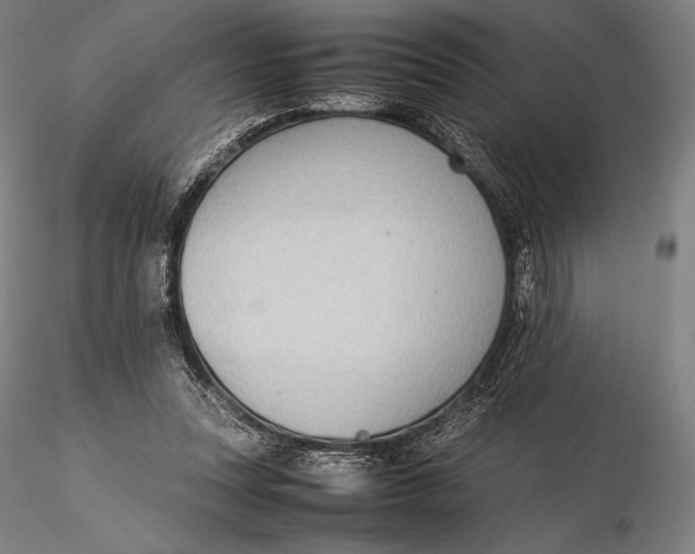 X0000115580351200912011444