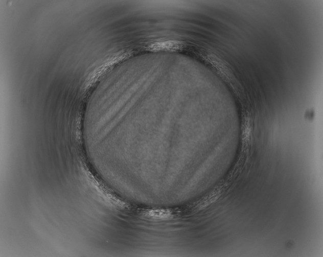 X0000115580353200912011444