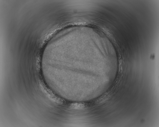 X0000115580354200912011444