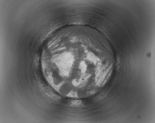 X0000115580355200912011444