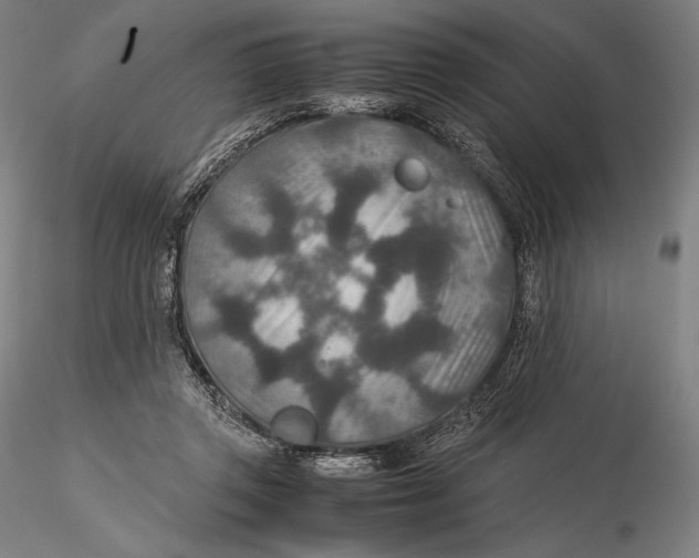 X0000115580357200912011444