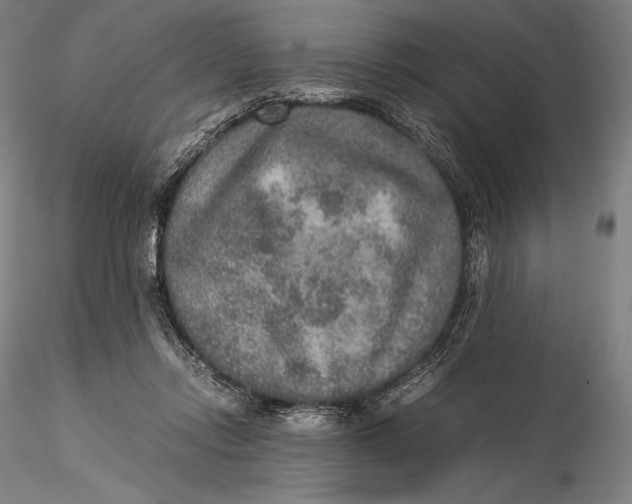 X0000115580358200912011444