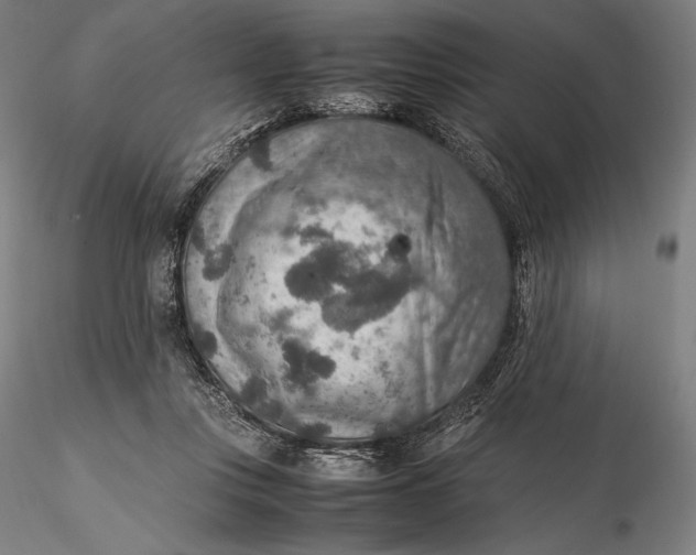 X0000115580359200912011444