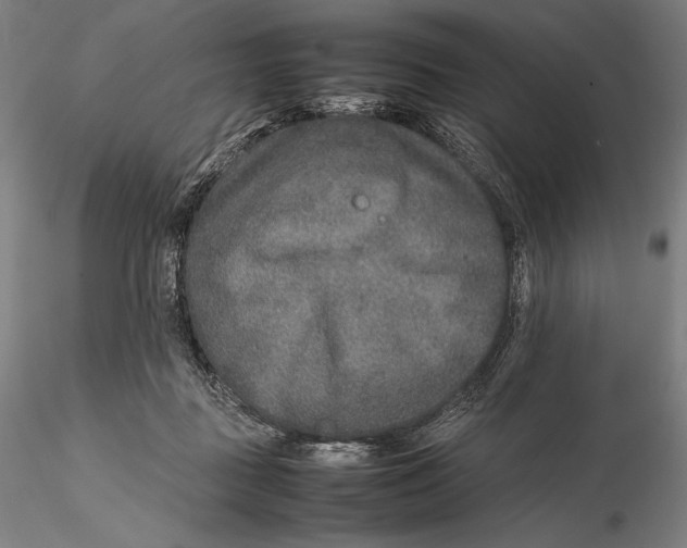 X0000115580363200912011444