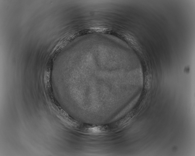 X0000115580365200912011444