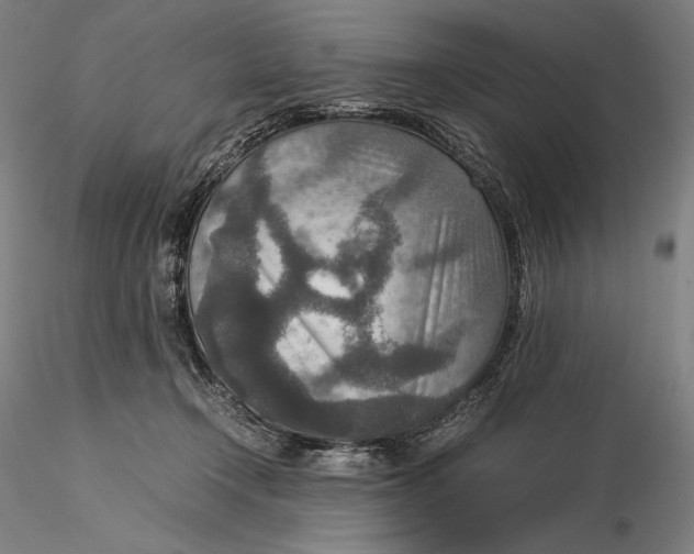 X0000115580366200912011444