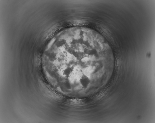 X0000115580367200912011444