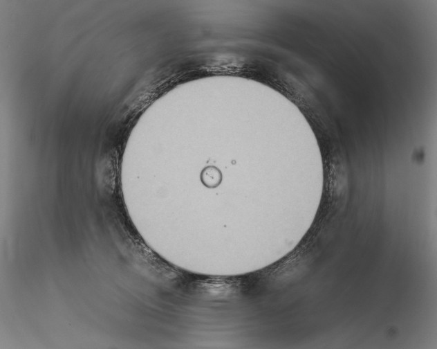 X0000115580370200912011445