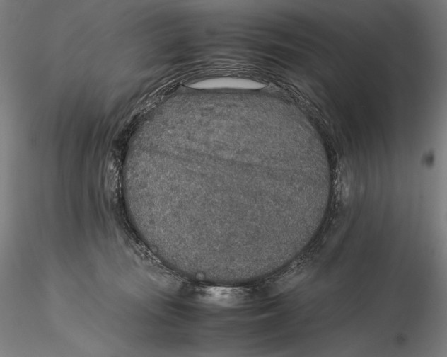 X0000115580371200912011445