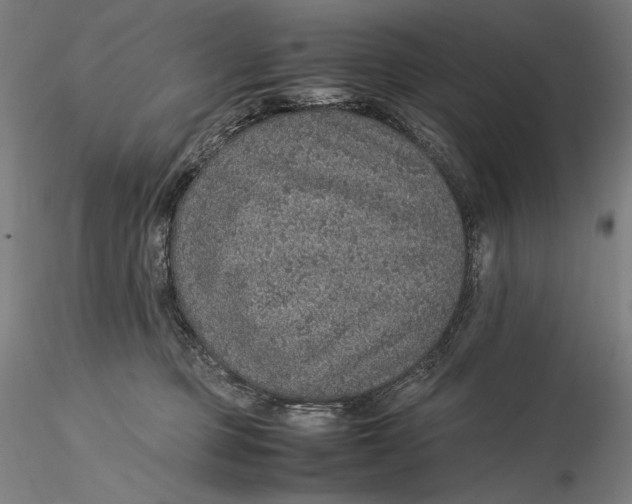 X0000115580373200912011445