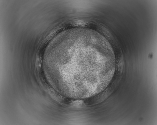 X0000115580374200912011445