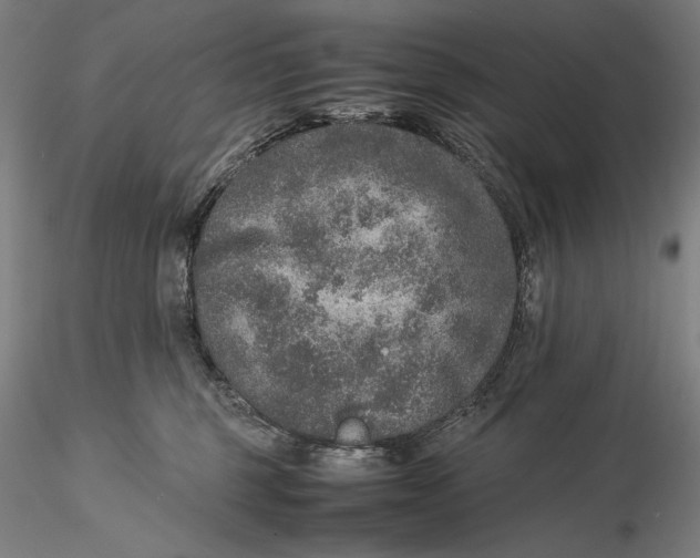 X0000115580375200912011445