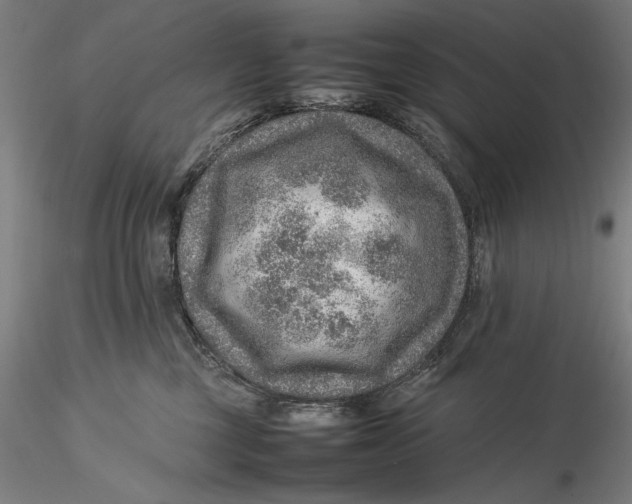 X0000115580377200912011445