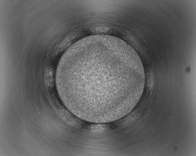 X0000115580378200912011445