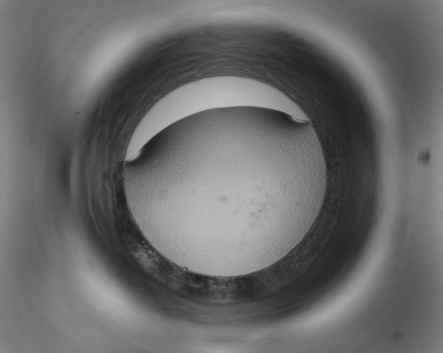 X0000115580382200912011445