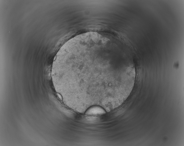 X0000115580383200912011445