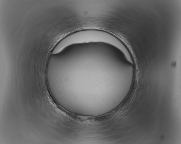 X0000115580385200912011444