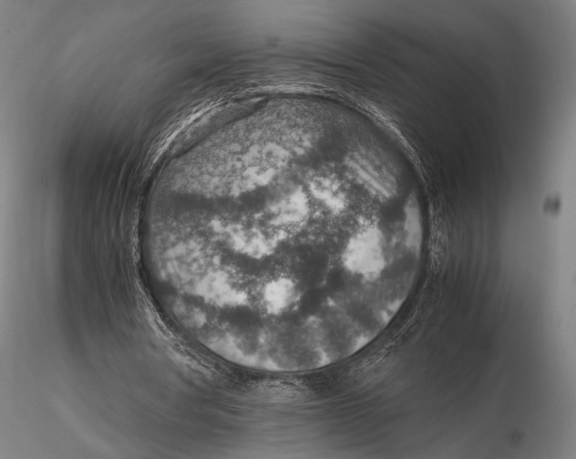 X0000115580386200912011444