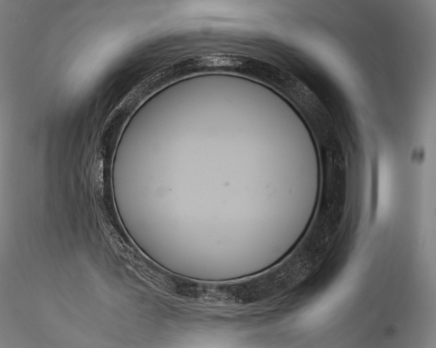 X0000115580387200912011444