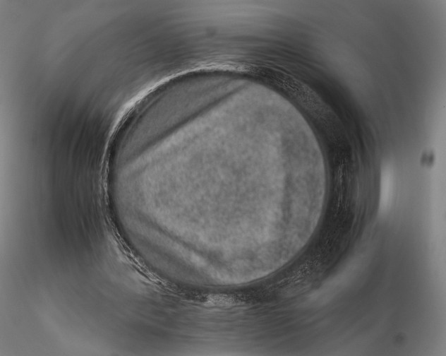 X0000115580388200912011444