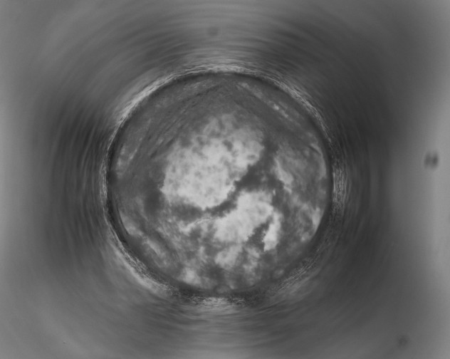 X0000115580390200912011444