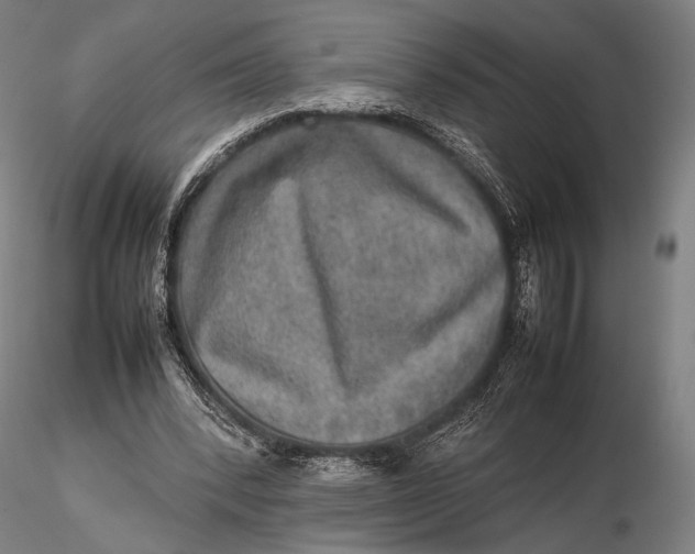 X0000115580392200912011444