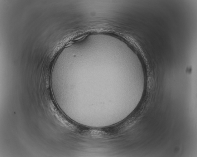 X0000115580393200912011444