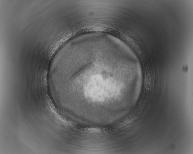 X0000115580394200912011444