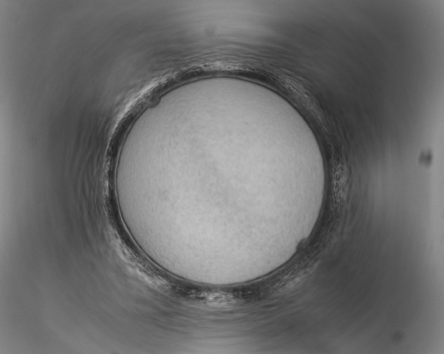 X0000115580395200912011444