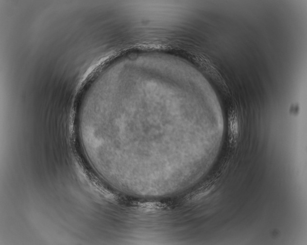 X0000115580396200912011444