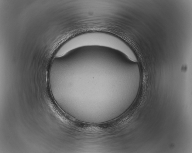 X0000115580397200912011444