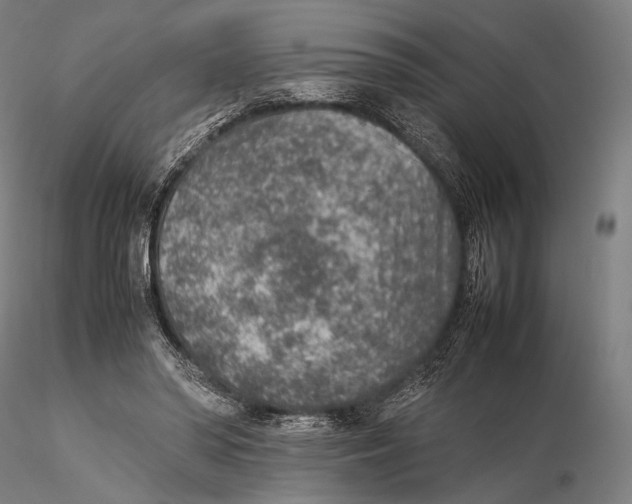 X0000115580398200912011444