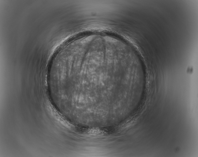 X0000115580399200912011444