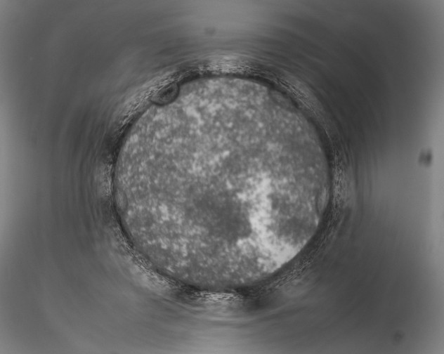 X0000115580401200912011444