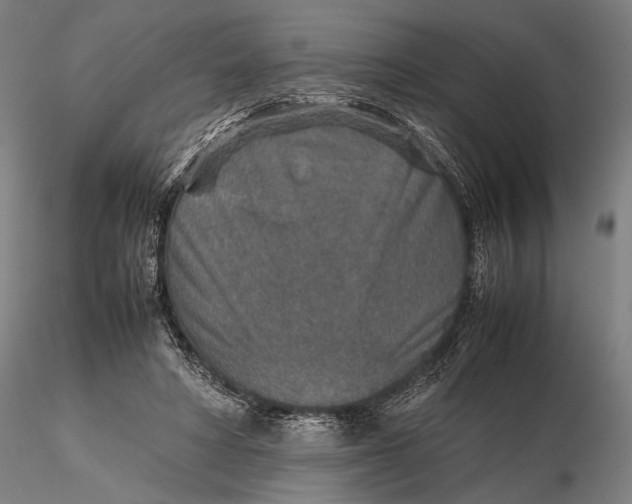 X0000115580402200912011444