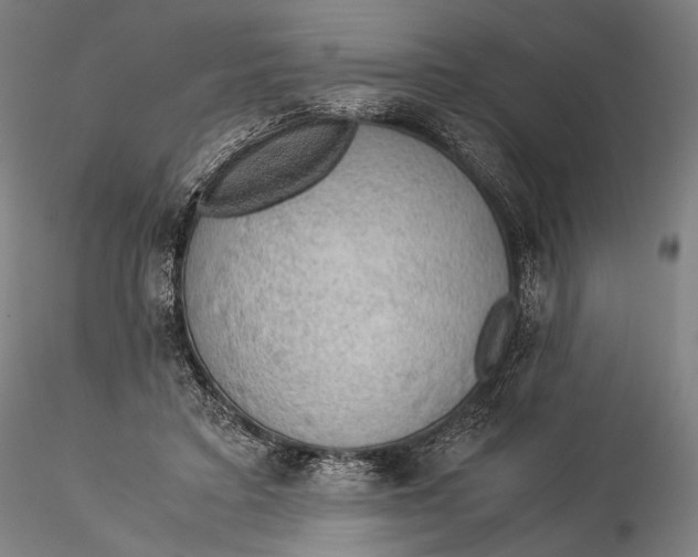 X0000115580403200912011444