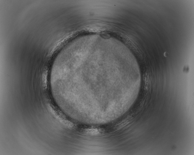 X0000115580404200912011444