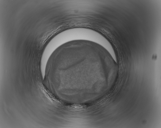 X0000115580405200912011444