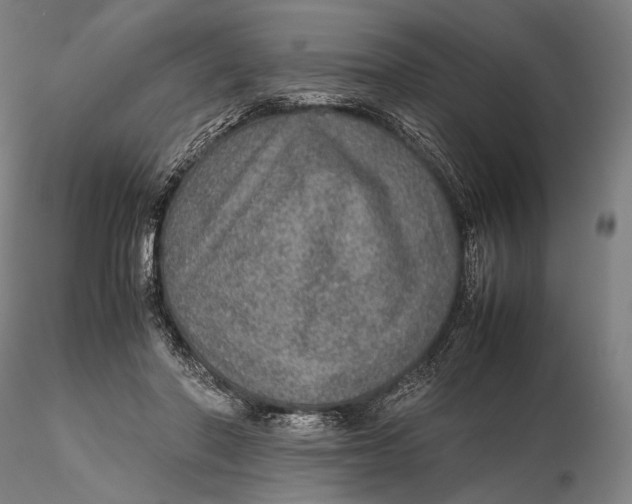 X0000115580406200912011444