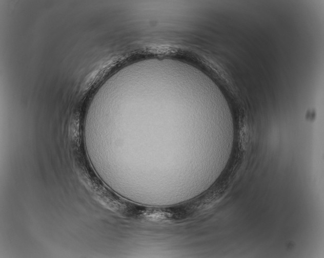 X0000115580407200912011444